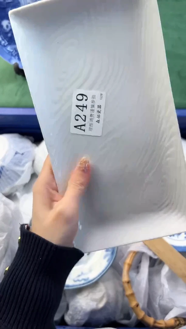 【闪购商品】瓷片          A249