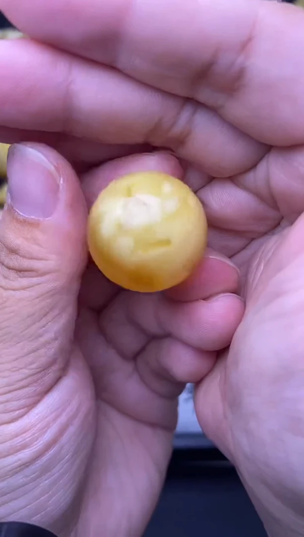 裸石琥珀未镶嵌大小姐珠宝严选89