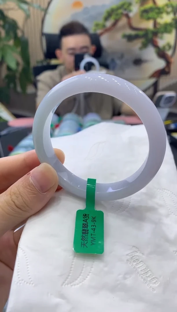 未镶嵌手镯翡翠9427