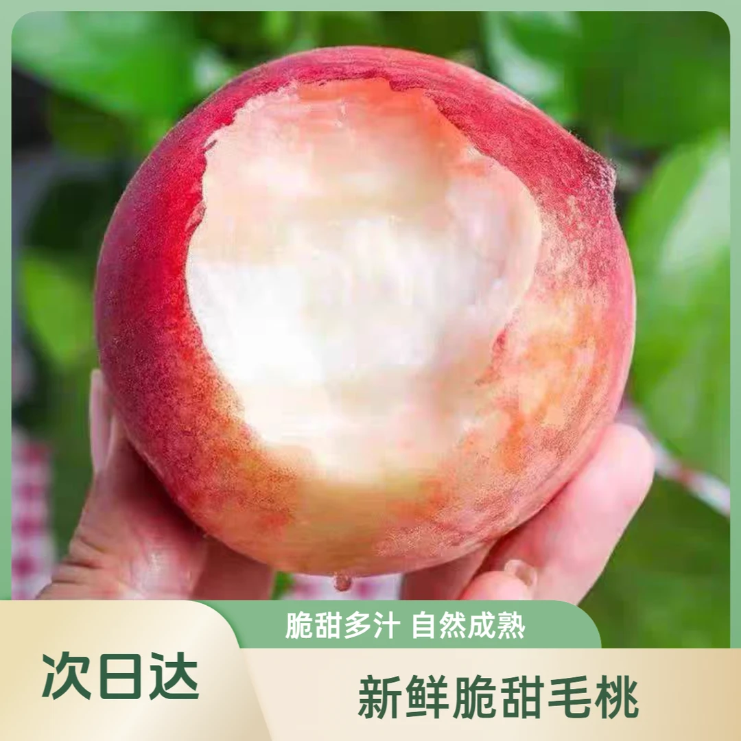【密云本地毛桃】突围毛桃又脆又甜多汁 应季毛桃新鲜采摘新鲜发货北京市