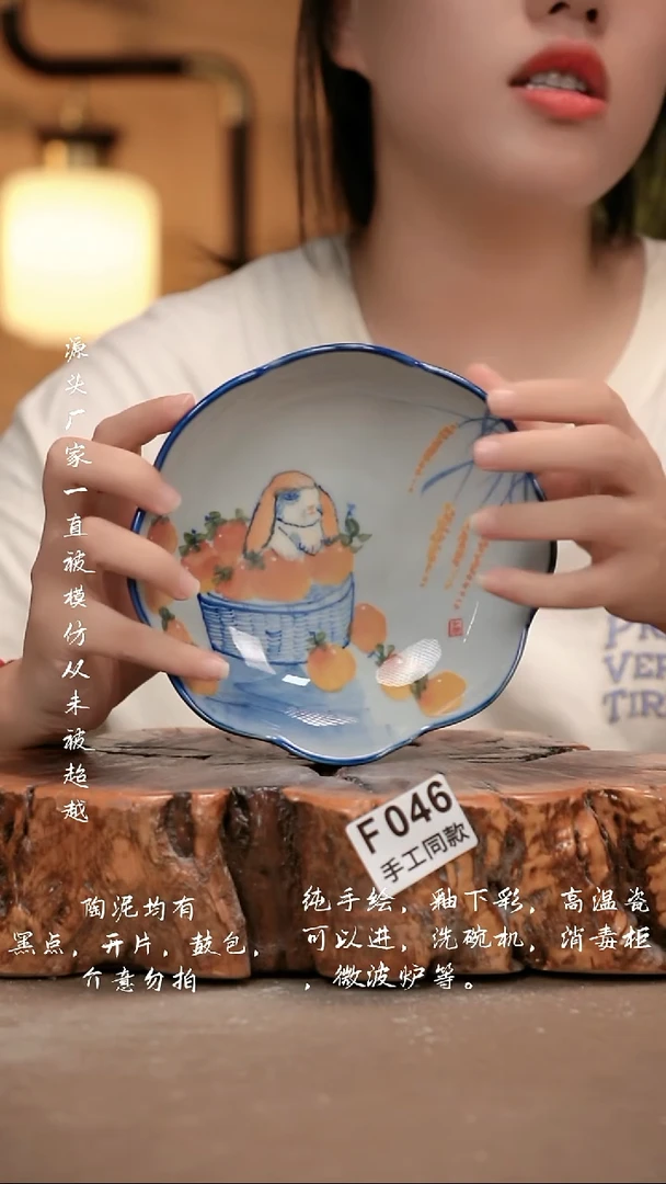 其他F046 新十二器
