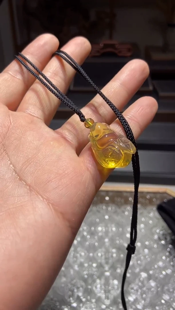 琥珀颈饰未镶嵌知了