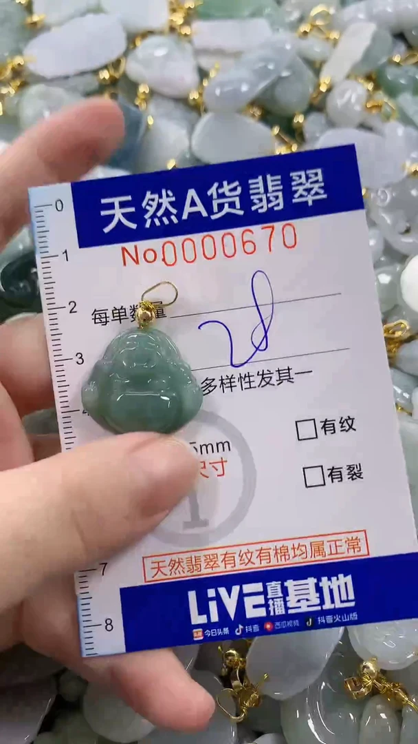 颈饰未镶嵌翡翠天然A货翡翠