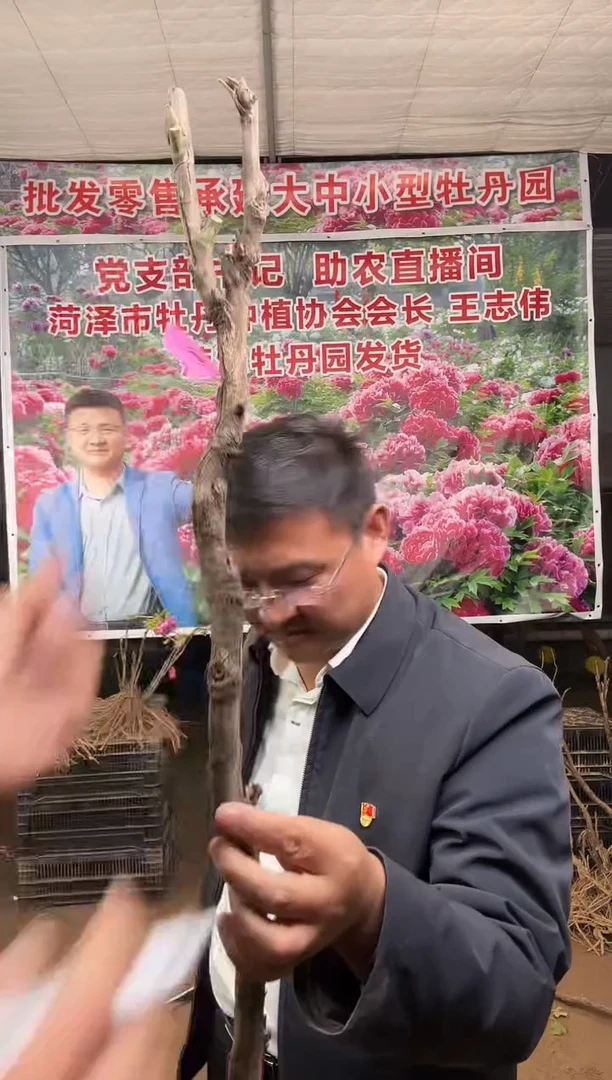 闪购链接  皇冠19