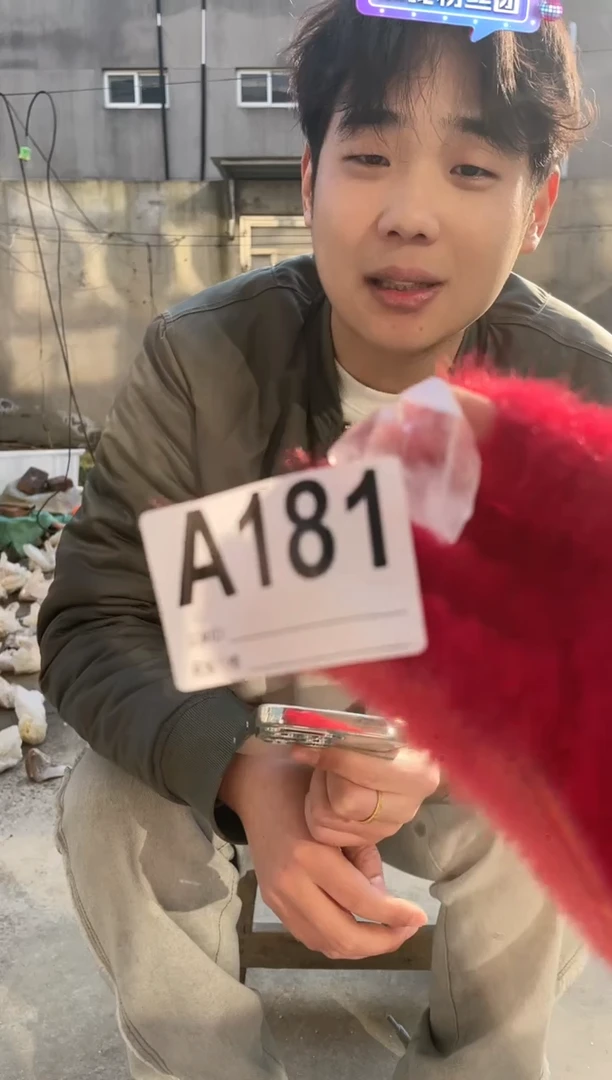 【闪购商品】水晶摆件未镶嵌喜马拉雅水晶  181