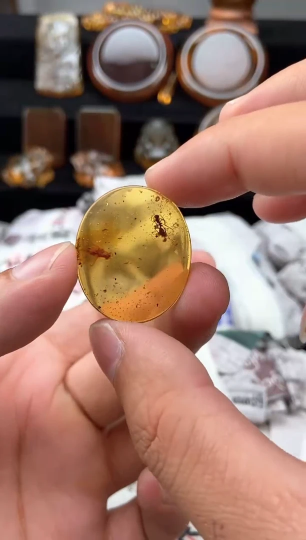琥珀颈饰未镶嵌虫珀随形
