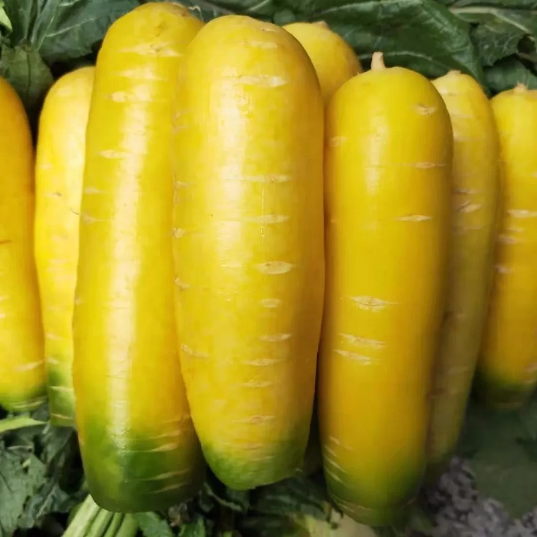 黄胡萝卜抓饭黄萝卜黄色水果胡萝卜农家新鲜蔬菜生吃运城特产