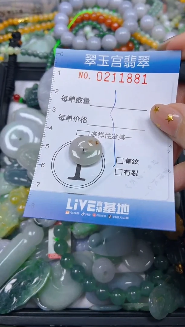 颈饰未镶嵌翡翠闪购C0211881