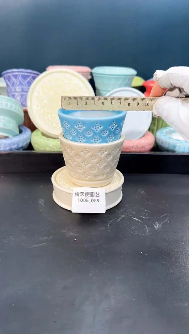 1005- 089云霓瑶 7口 2个默认微瑕