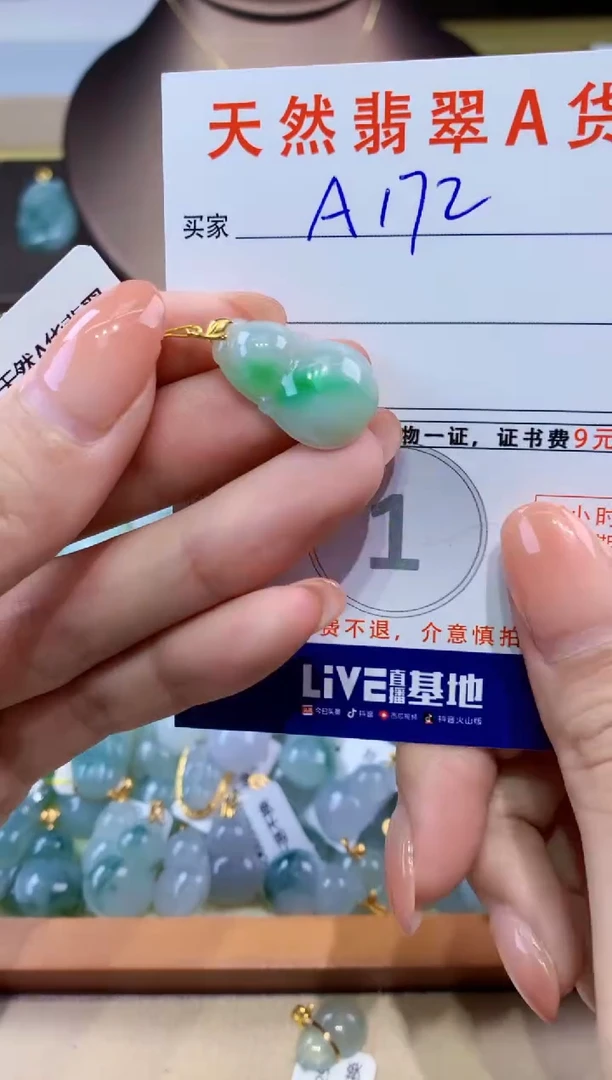 翡翠未镶嵌颈饰 天然缅甸a货翡翠