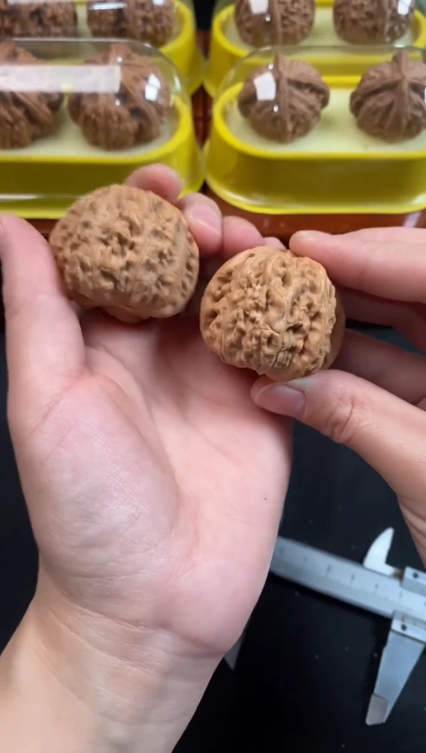 把件文玩核桃白狮子40尺F669