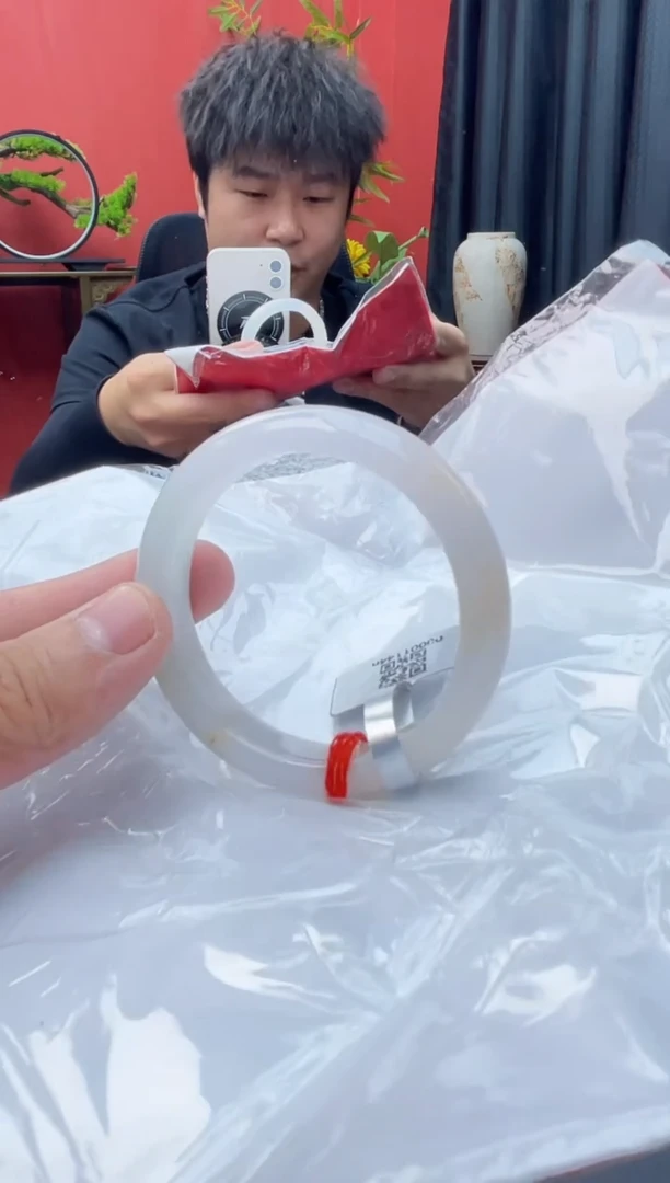 未镶嵌手镯翡翠8