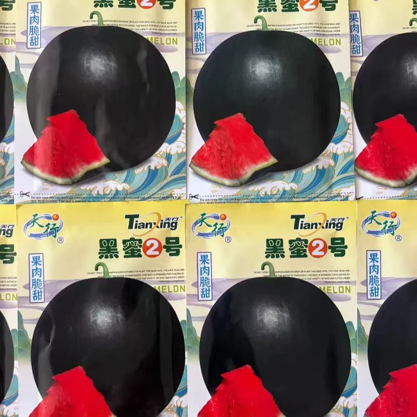 【黑蜜2号西瓜种子】四季种植盆栽阳台