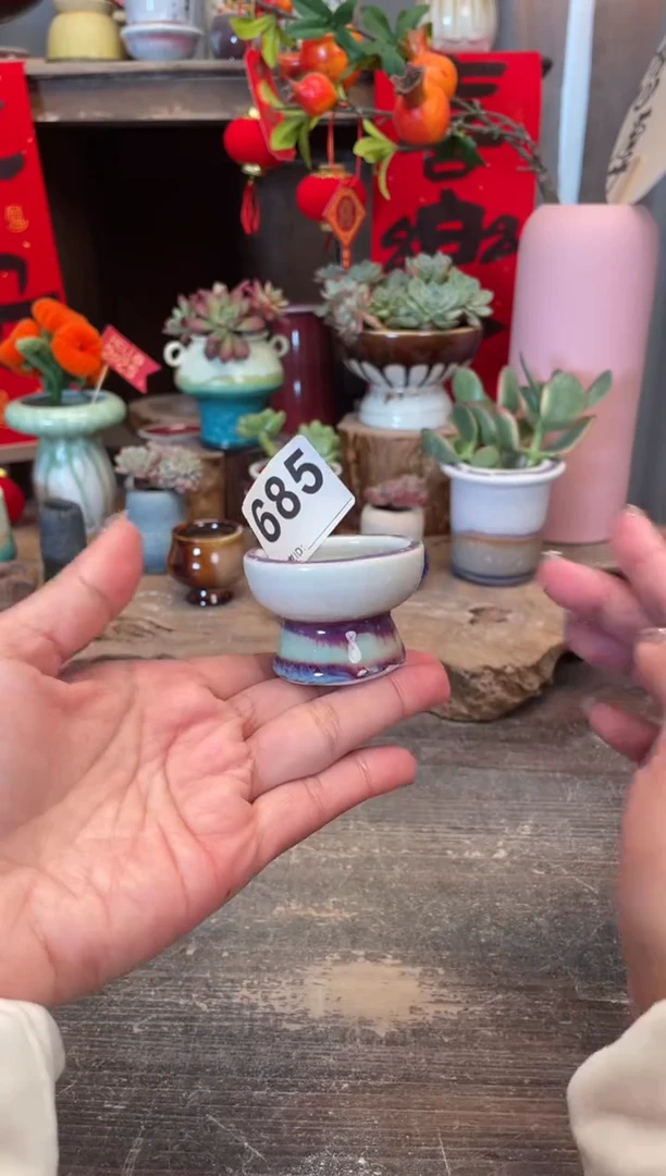 【闪购商品】摆件685福利知木小芳花盆