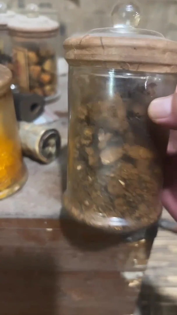 紫砂紫砂紫砂紫砂紫砂紫砂