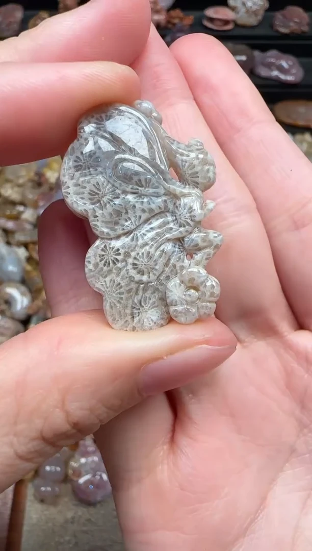 颈饰未镶嵌硅化珊瑚（珊瑚玉）348