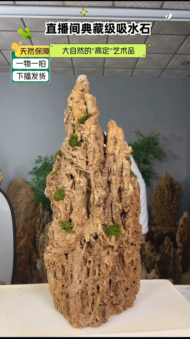 无花朵刘*庆吸水石111带流水