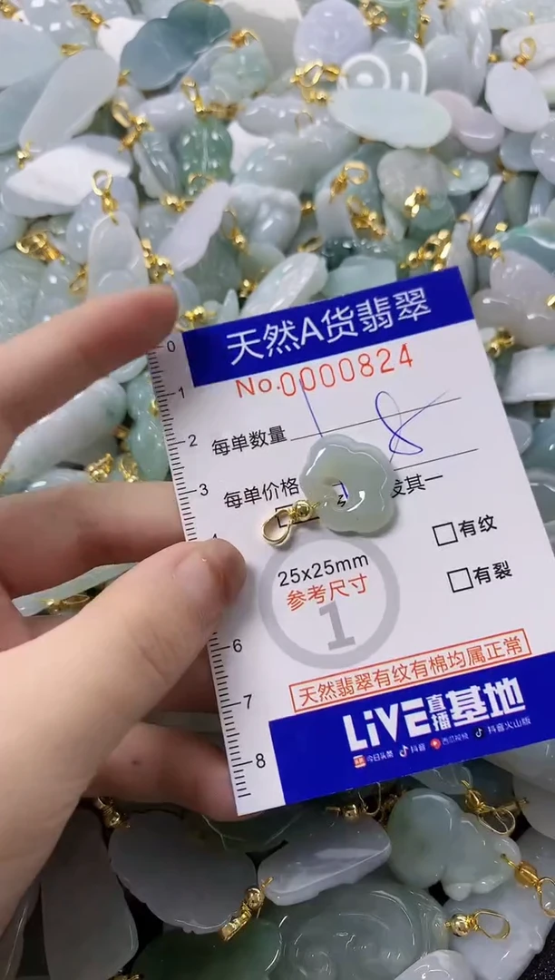 颈饰未镶嵌翡翠天然A货翡翠