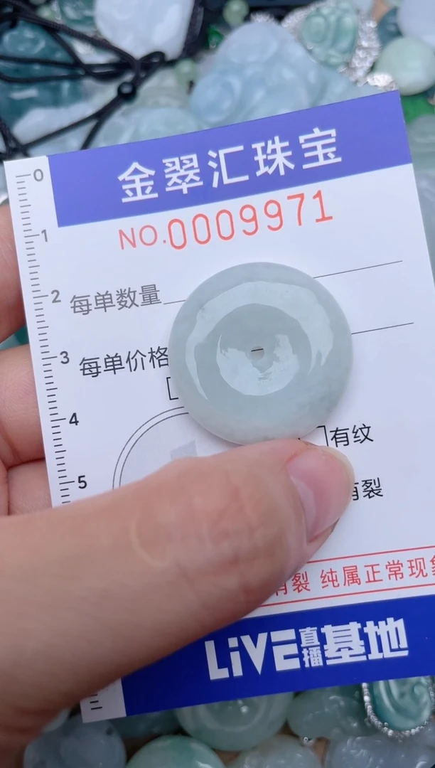翡翠未镶嵌颈饰9971