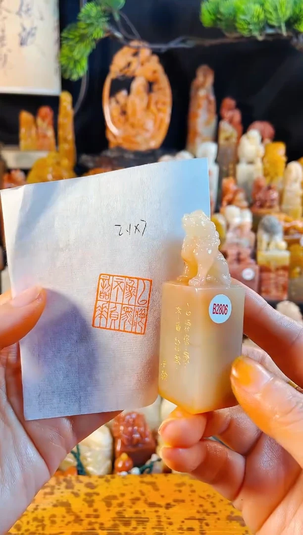 老挝石印石手工篆刻《以梦为马不负韶华》