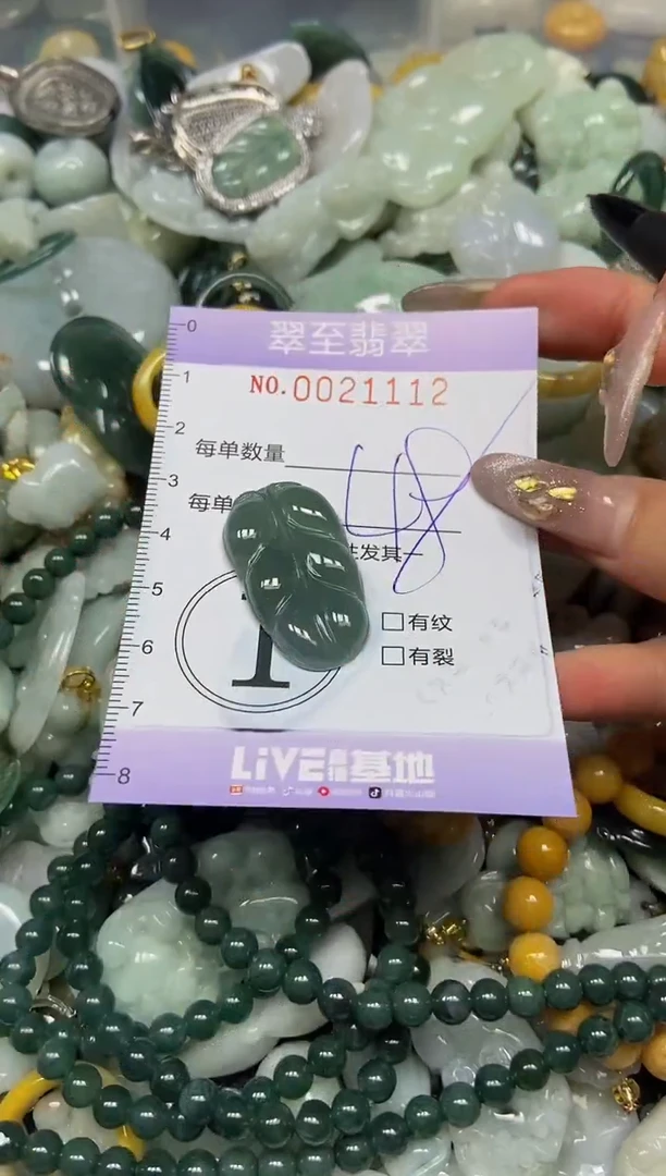 【闪购商品】翡翠颈饰未镶嵌闪购0021112