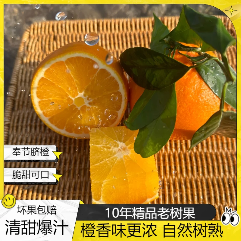 老树果奉节脐橙脆甜化渣香甜可口5/10/20斤当季水果
