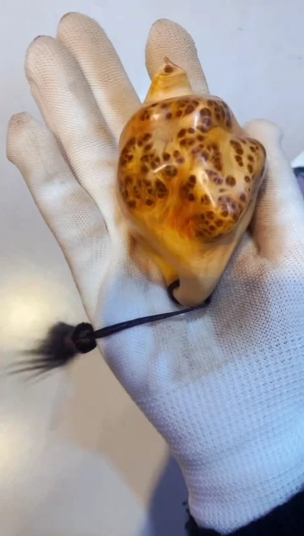 柏木（崖柏）61北太行崖柏陈化手把件手串