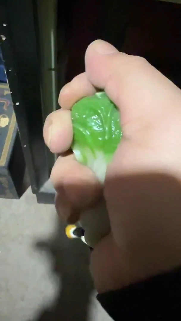 香榧木        白菜