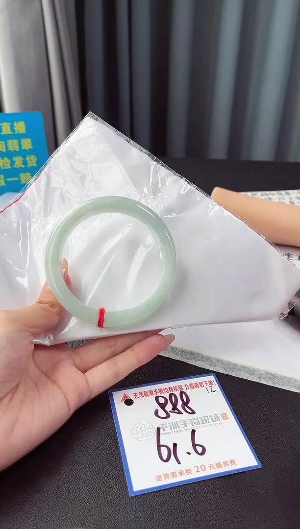 未镶嵌手镯翡翠11111