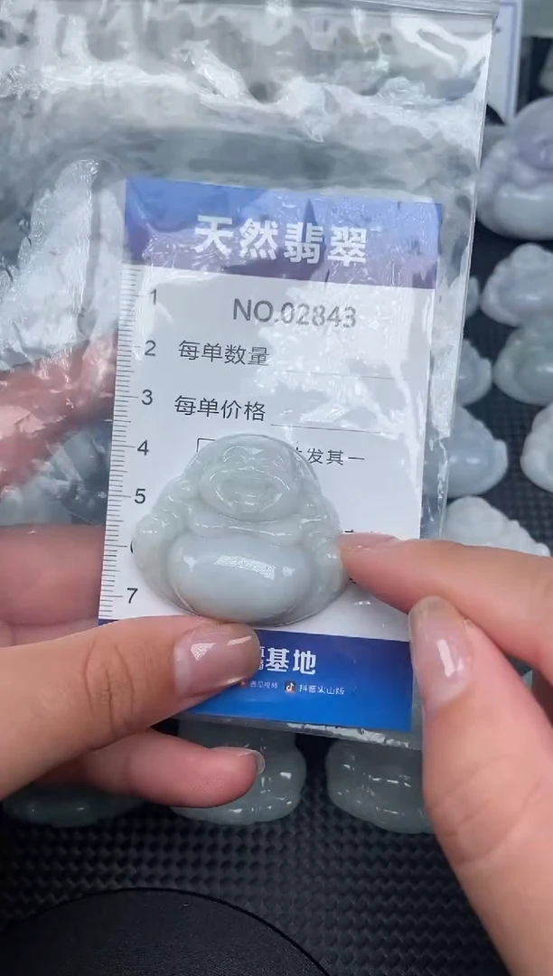 颈饰未镶嵌翡翠纯天然A货翡翠2843