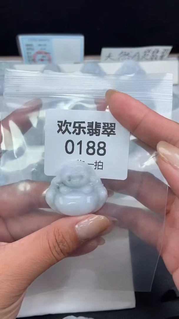 颈饰未镶嵌翡翠缅甸天然翡翠0188