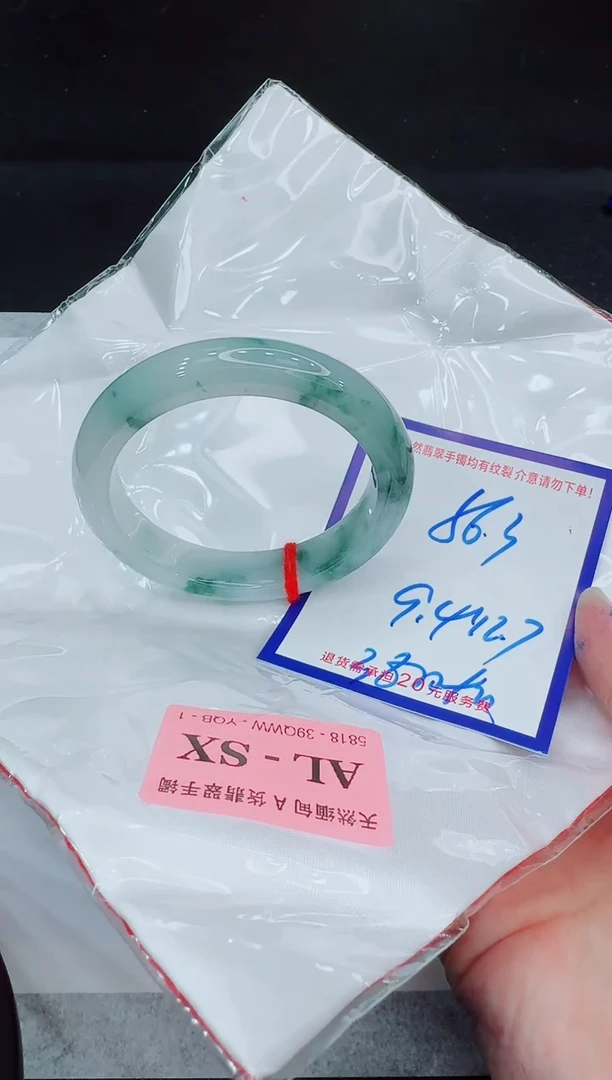 未镶嵌手镯翡翠11111111