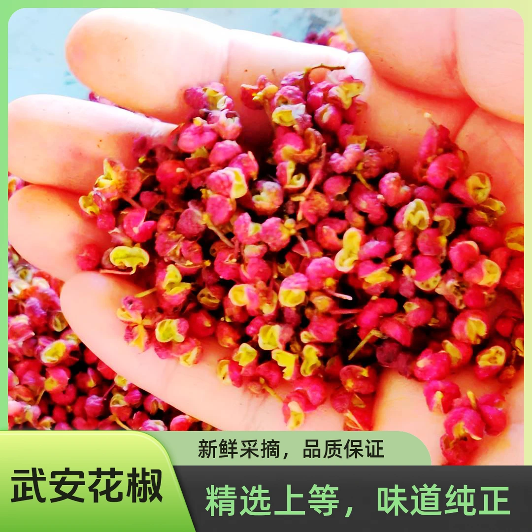 武安毛花椒山区特产高海拔深山梯田特麻浓香好味道出口欧盟农产品