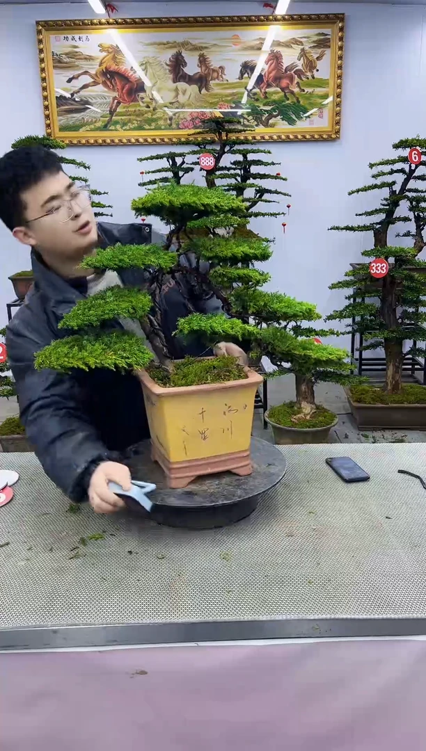 【闪购商品】一物一拍，所见即所得一物一拍，所见即所得