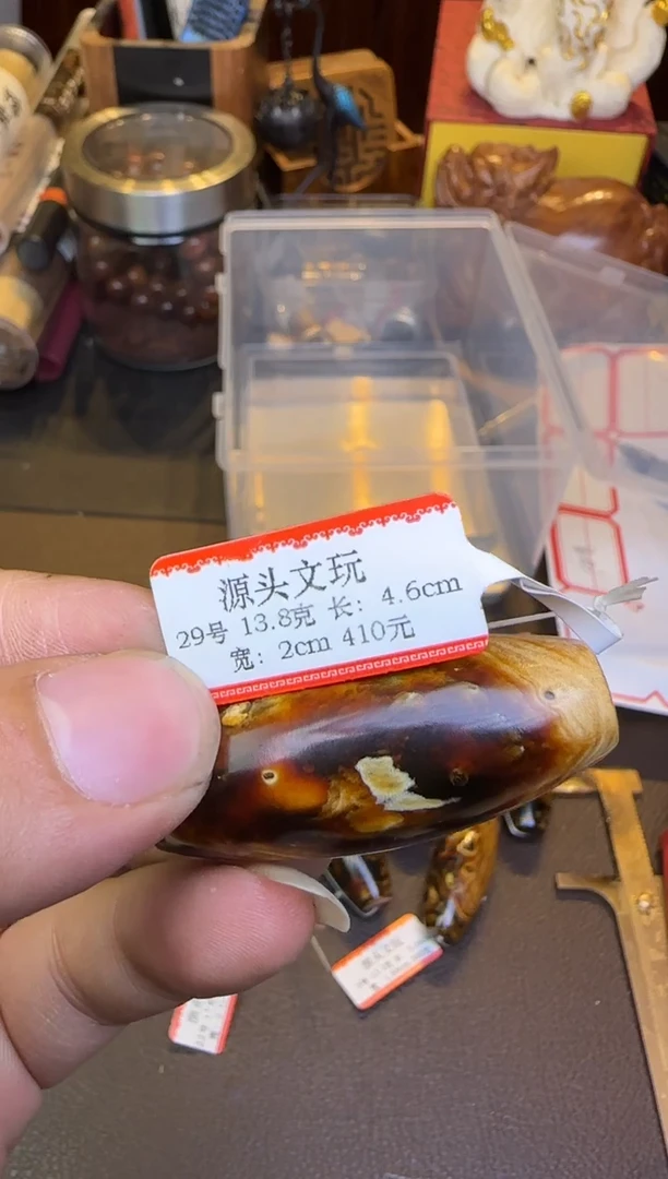 吊坠贝壳29号小天天一个