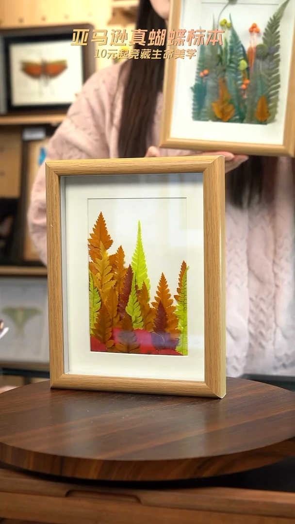 干制植物标本摆件秋