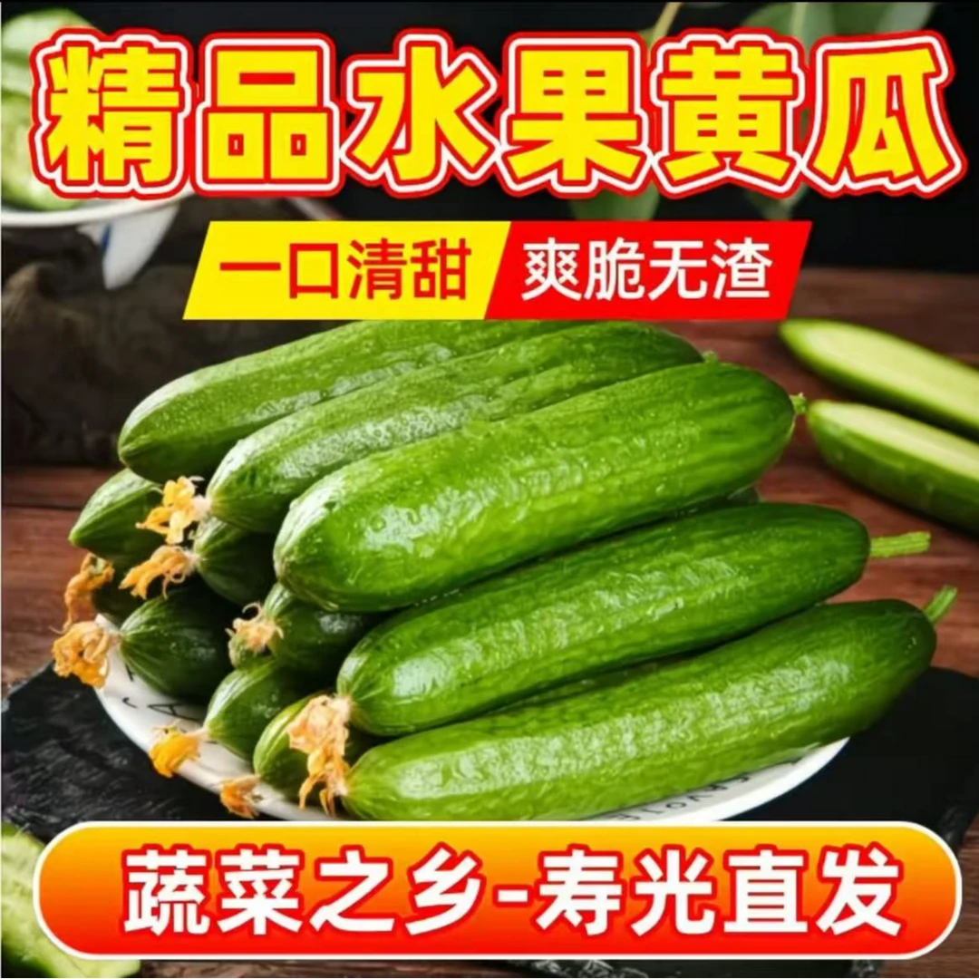 【精品】山东产地新鲜现摘水果黄瓜无刺小黄瓜清脆爽口生吃即食