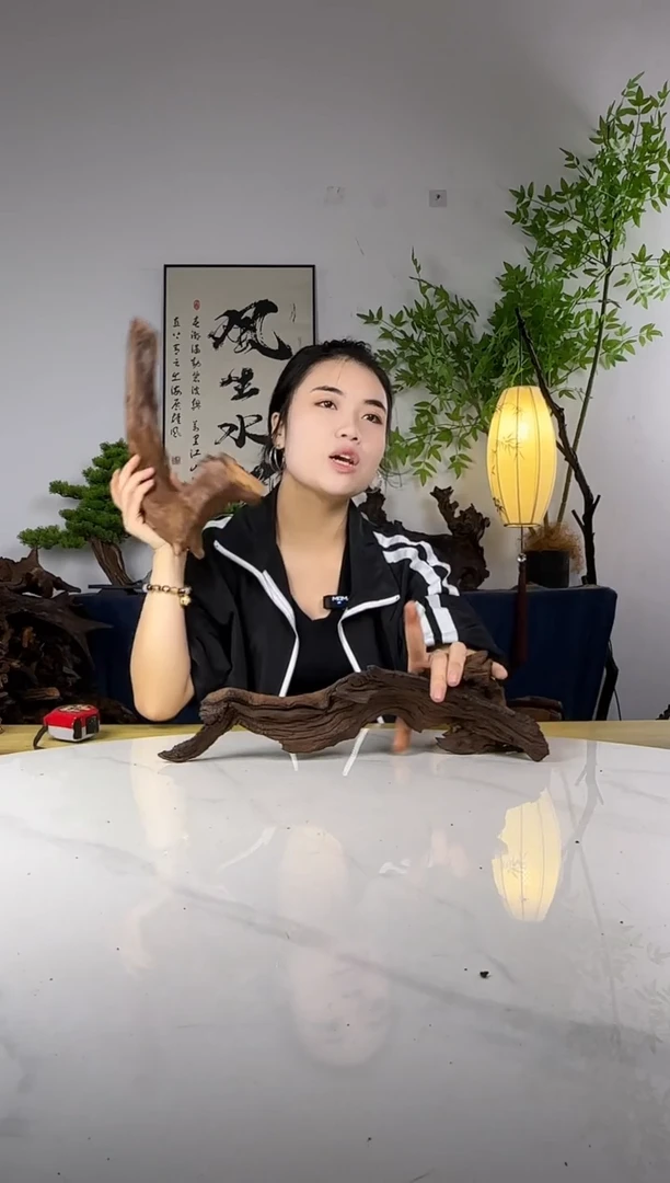 犟**酱拍这个定向编号10