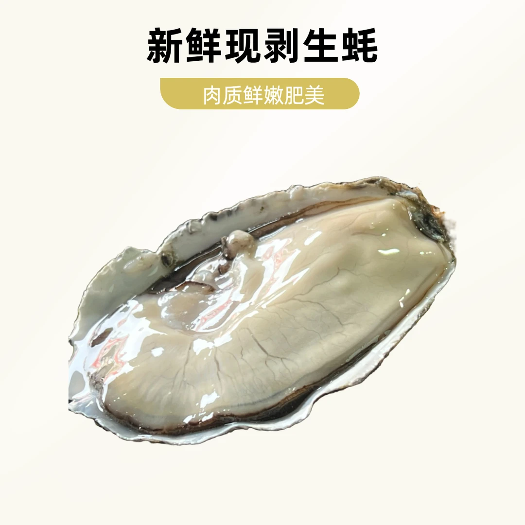 【爆品】5两生蚝 200g-300g/个（开蚝）