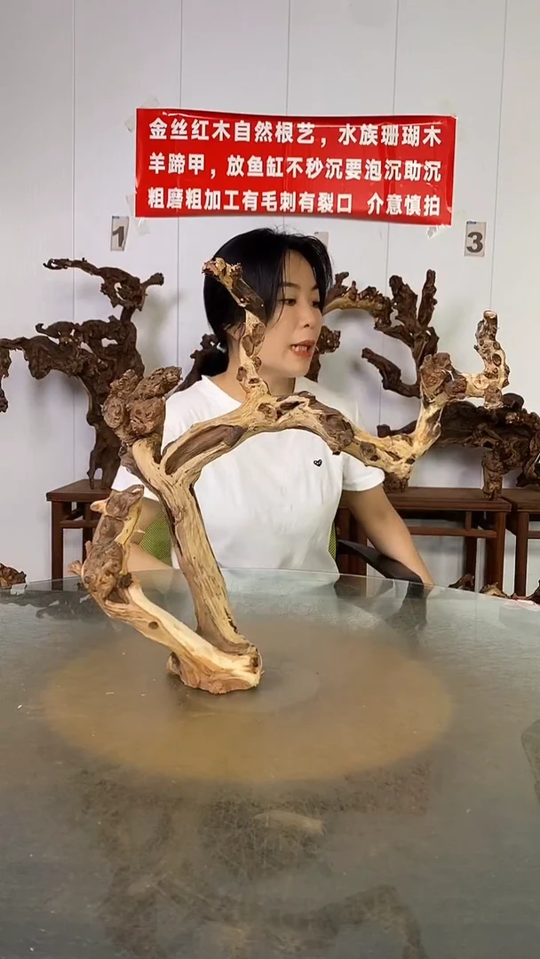 香榧木放*金丝红木   羊蹄甲