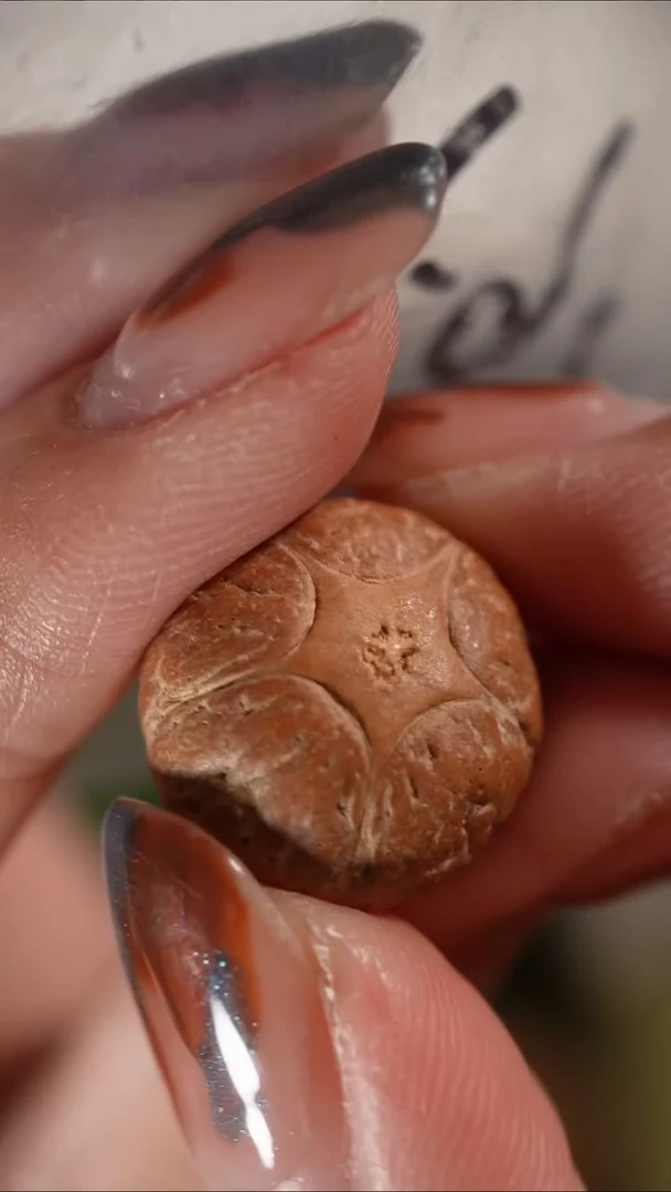 吊坠凤眼菩提五星上将三通尼泊尔凤眼16.1MM