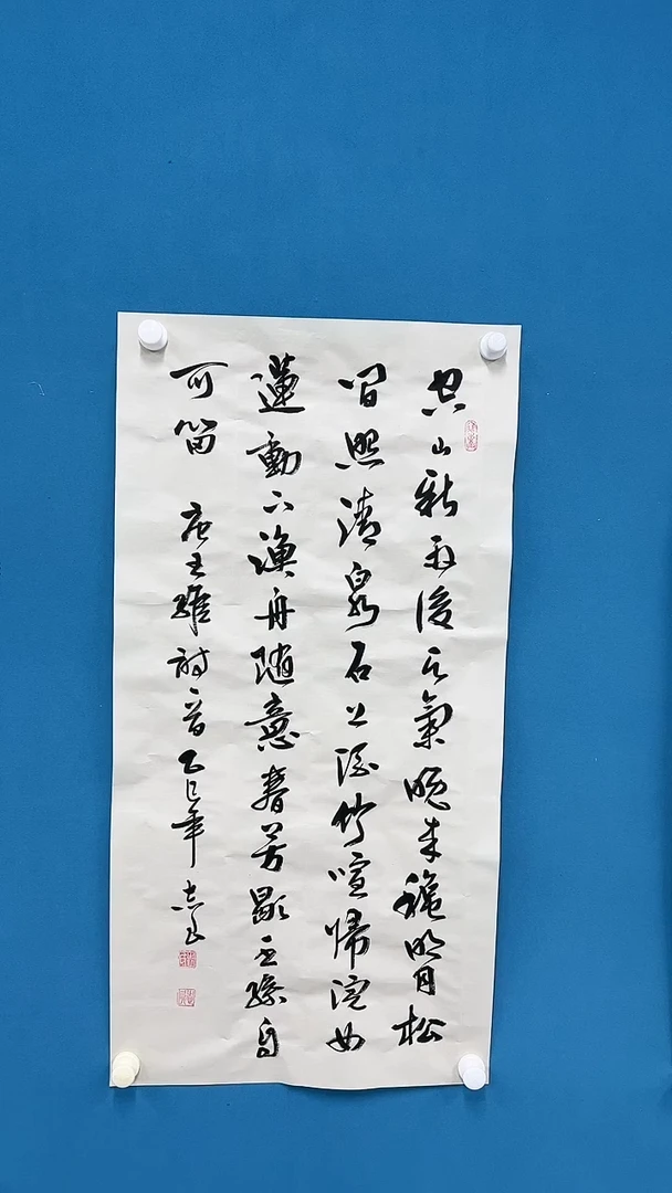 【闪购商品】国画2.6-甄选-袁志良-多字书法3