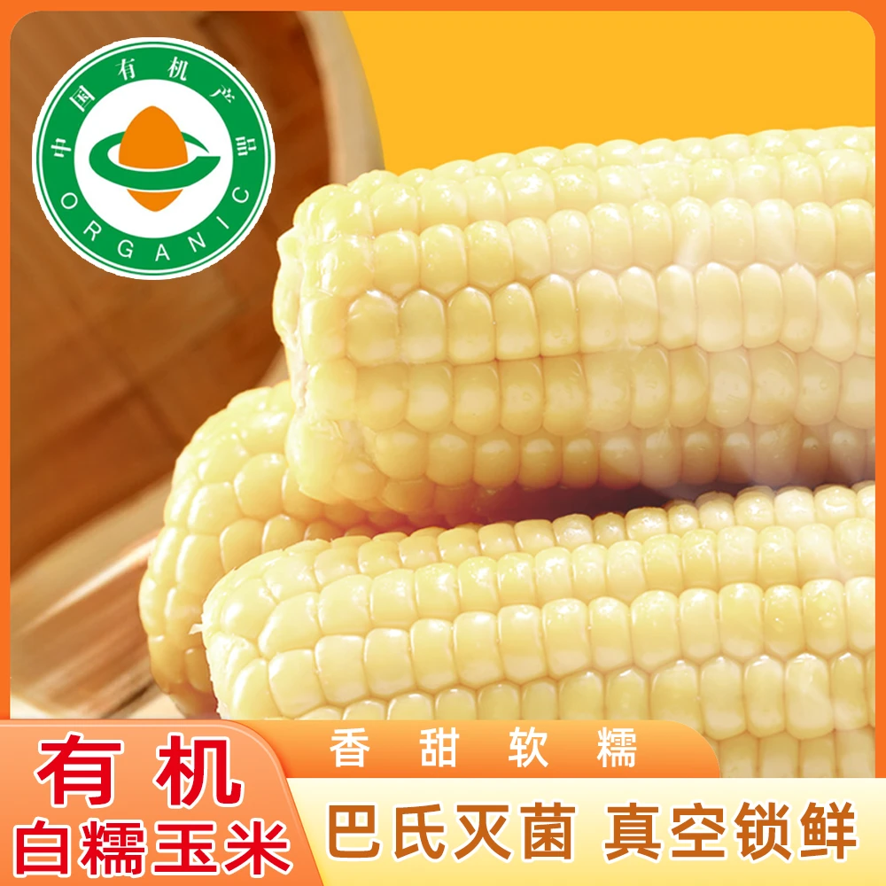 2025年头茬【有机】五常白糯玉米东北鲜食玉米每根大于260克每箱8支