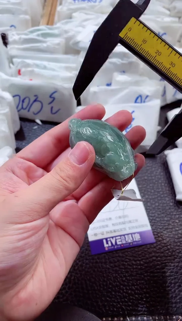 颈饰未镶嵌翡翠00003050