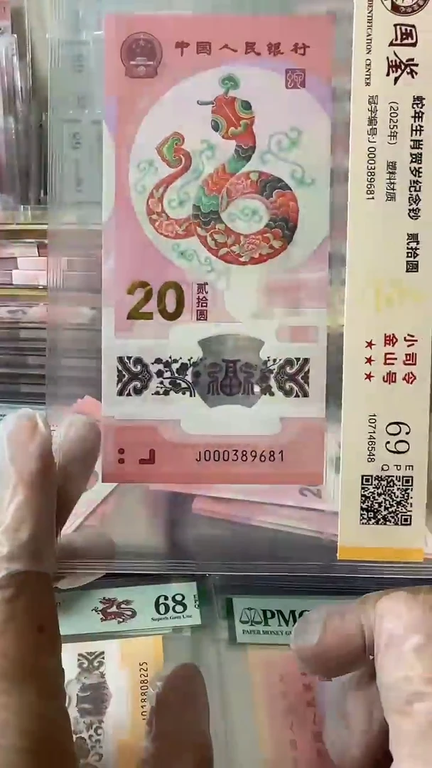 塑料000389681-蛇钞单张