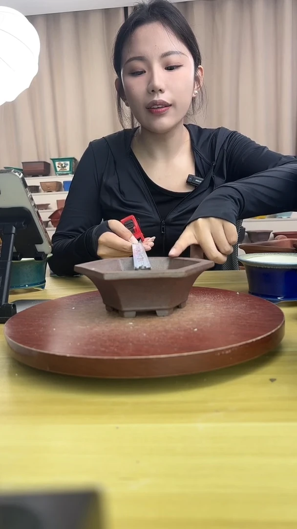 紫砂花盆浅草紫砂花盆微瑕