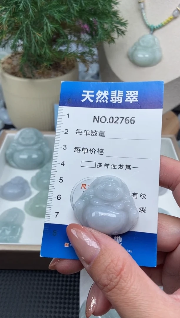 颈饰未镶嵌翡翠纯天然A货翡翠2766