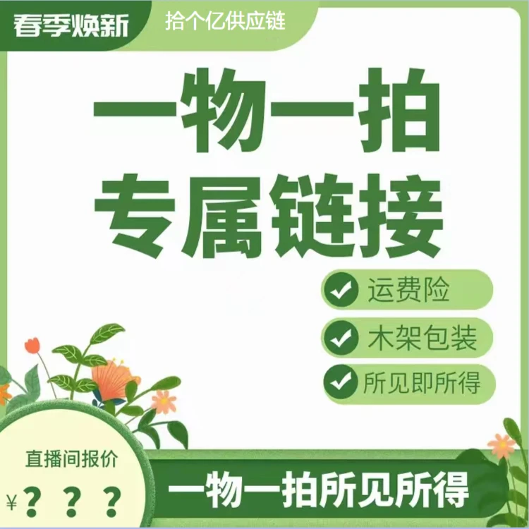 一物一拍实物发货原生态造型松柏盆景阳台桌摆庭院内外好养