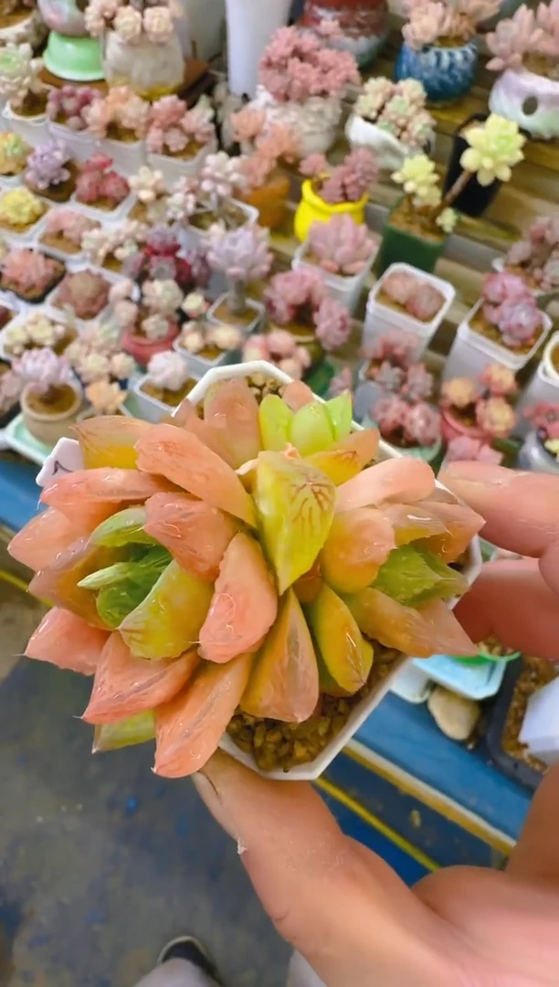 【闪购商品】优—151—仙农(水晶包）
