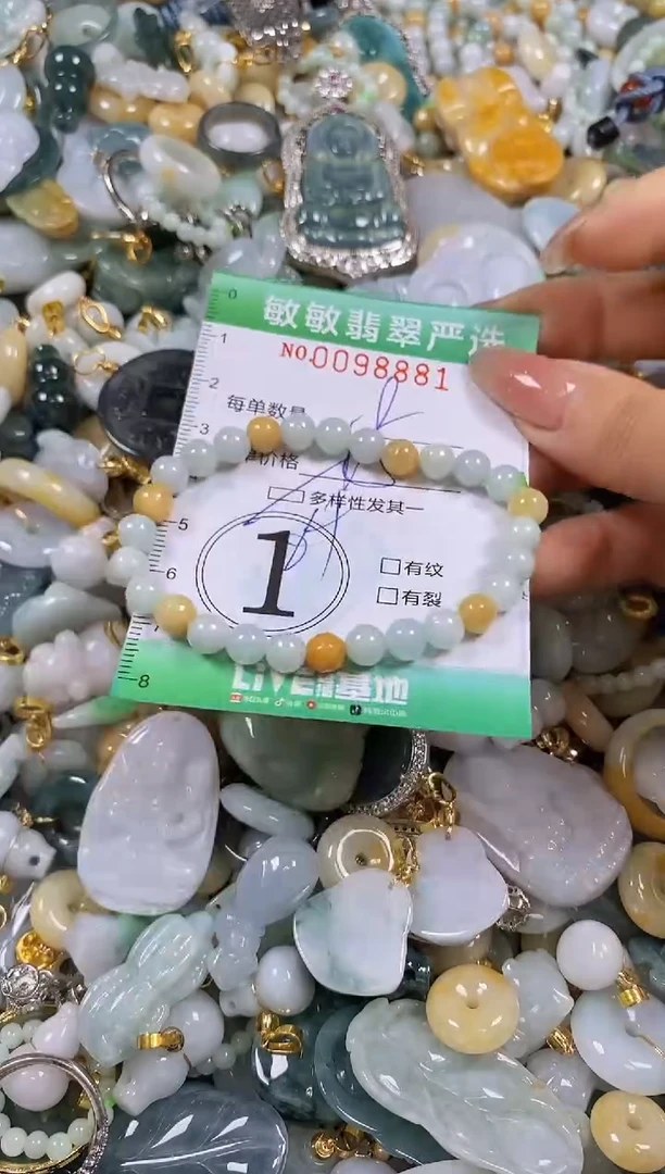 【闪购商品】翡翠颈饰未镶嵌闪购0098881